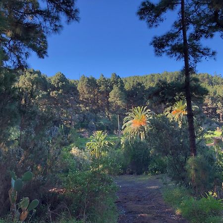 Monte Frio De Tenerife La Guancha Dış mekan fotoğraf