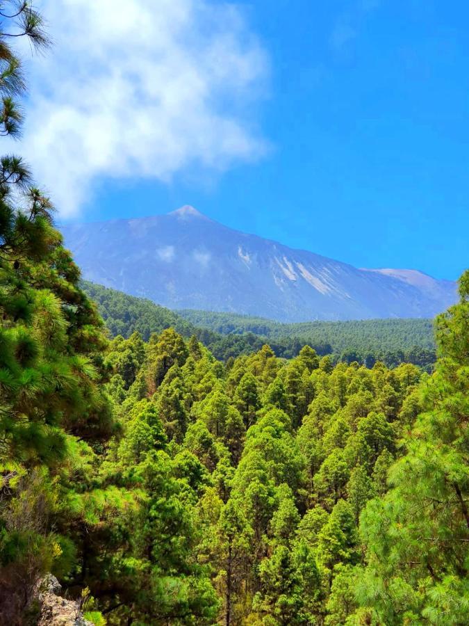 Monte Frio De Tenerife La Guancha Dış mekan fotoğraf