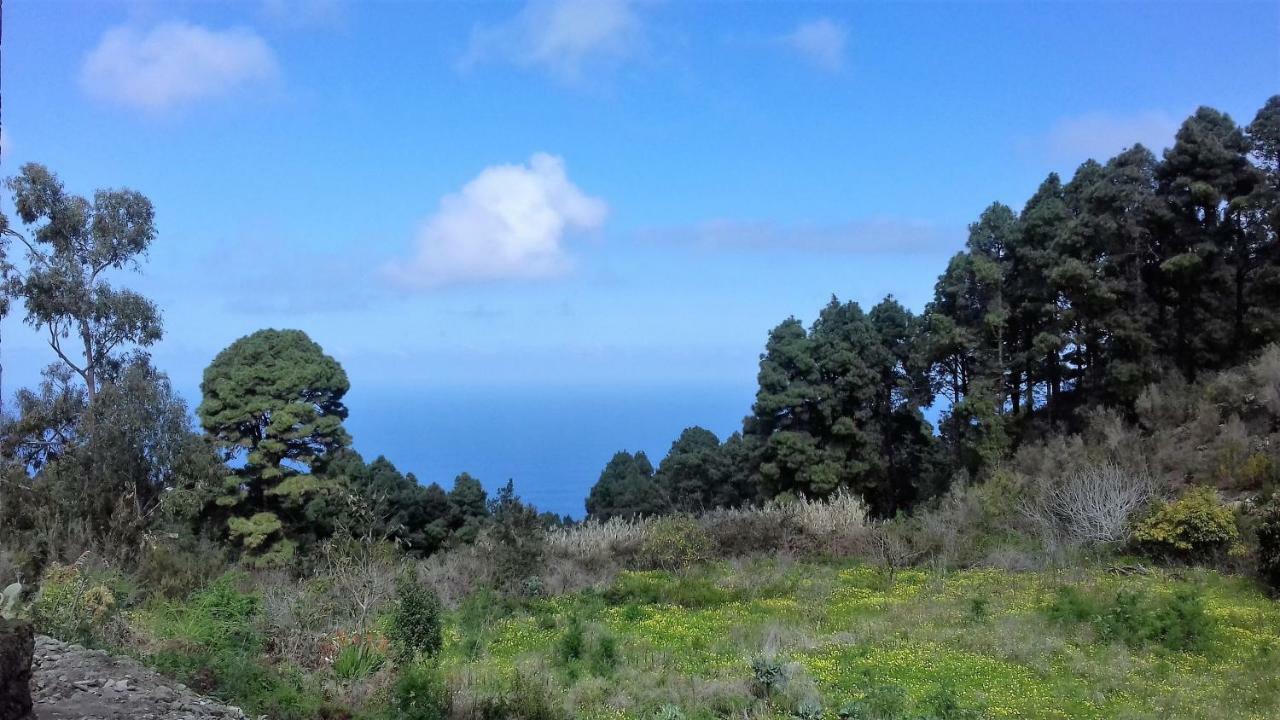 Monte Frio De Tenerife La Guancha Dış mekan fotoğraf